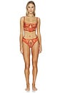 view 4 of 4 Kyra Bodice Bra in Spritz