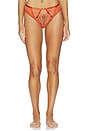 view 1 of 4 Kyra Brazilian Panty in Spritz