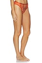 view 2 of 4 Kyra Brazilian Panty in Spritz