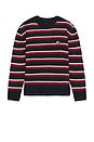 view 4 of 5 Stripe Badge Sweater in Bohemian Rose Stripe