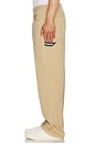 view 6 of 7 Jaimie Canvas Carpenter Pant in Relic Tan