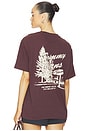 view 1 of 4 Novelty Tee in Rich Brown