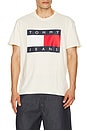 view 1 of 4 Big Flag Tee in Calico