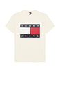 view 4 of 4 Big Flag Tee in Calico
