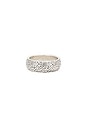view 2 of 2 Zebra Ring in Plata