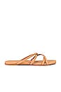 view 1 of 5 Sloan Sandal in Nude