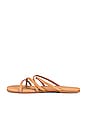 view 5 of 5 Sloan Sandal in Nude