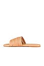 view 5 of 5 Caro Sandal in Nude