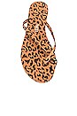 view 4 of 5 Riley Exotic Flip Flop in Cheetah