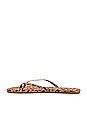 view 5 of 5 Riley Exotic Flip Flop in Cheetah