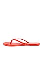 view 5 of 5 Solids Flip Flop in Tangerine