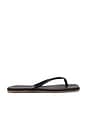 view 1 of 5 Lily Square Toe Flip Flop in Black