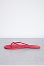 view 5 of 5 Solids Flip Flop in Red