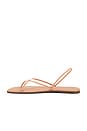 view 5 of 5 Square Toe Millie Sandal in Nude Beach