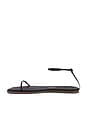 view 5 of 5 Square Toe Twiggy Sandal in Sable
