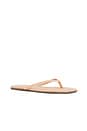view 3 of 5 SQUARE TOE LILY サンダル in Nude Beach