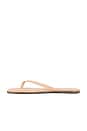 view 5 of 5 SQUARE TOE LILY サンダル in Nude Beach