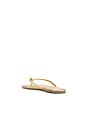 view 4 of 5 Square Toe Lily Sandal in Blink