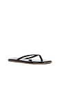 view 3 of 5 Square Toe Lily Sandal in Licorice