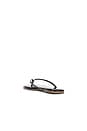 view 4 of 5 Square Toe Lily Sandal in Licorice