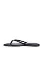 view 5 of 5 Square Toe Lily Sandal in Sable Croc
