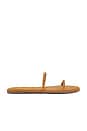 view 2 of 5 Gemma Braid Sandal in Camel