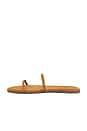 view 5 of 5 Gemma Braid Sandal in Camel