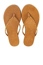view 1 of 5 Lily Braid Sandal in Camel
