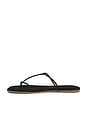 view 5 of 5 Chloe Sandal in Sable