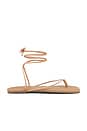 view 1 of 5 Square Toe Lilu Sandal in Hazelton