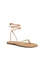 view 2 of 5 Square Toe Lilu Sandal in Hazelton