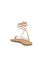 view 3 of 5 Square Toe Lilu Sandal in Hazelton