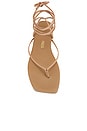 view 4 of 5 Square Toe Lilu Sandal in Hazelton