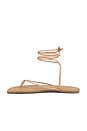 view 5 of 5 Square Toe Lilu Sandal in Hazelton