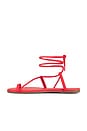 view 5 of 5 Jo Sandal in Red