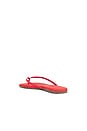 view 4 of 5 Square Toe Lily Sandal in Red