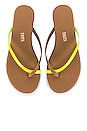 view 1 of 5 Riley Neon Flip Flop in Yellow Riley Neon