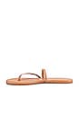 view 5 of 5 Sarit Sandal in Nude