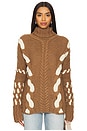 view 1 of 4 Barbora Turtleneck in Brown