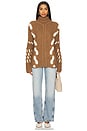 view 4 of 4 Barbora Turtleneck in Brown
