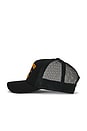 view 3 of 3 SOMBRERO CHAMPAGNE COWBOY TRUCKER  in Black