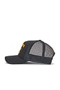 view 5 of 4 CHAPEAU CHAMPAGNE COWBOY TRUCKER  in Black