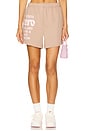 view 1 of 6 It Costs $0 Vintage Sweatshorts in Taupe