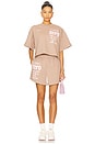 view 5 of 6 It Costs $0 Vintage Sweatshorts in Taupe