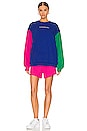 view 4 of 4 PRIDE Color Block Crewneck in Multi