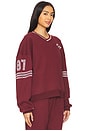 view 3 of 6 Just Be Fucking Kind Crewneck in Maroon