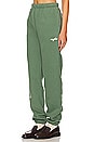 view 3 of 6 Your Emotions Are Valid Sweatpant in Sage