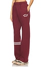 view 3 of 6 Just Be Fucking Kind Sweatpants in Maroon