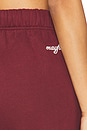 view 6 of 6 Just Be Fucking Kind Sweatpants in Maroon