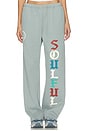 view 1 of 6 Soulful Wide Leg Sweatpants in Dusty Blue